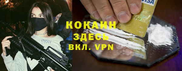 молекула духа Алзамай