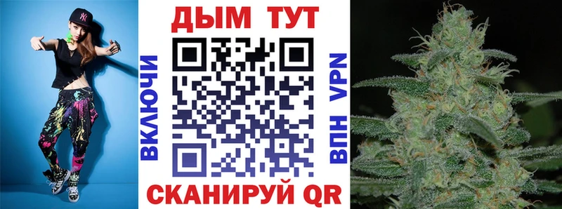 где можно купить   Сасово  Конопля семена 